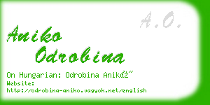 aniko odrobina business card